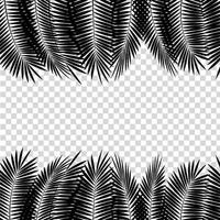 Black Palm Leaf on White Background. Vector Illustration