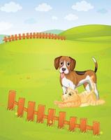 perro beagle y gato en el prado vector