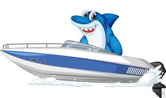 Shark on speed boat cartoon character on white background vector