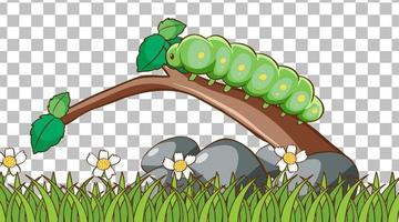 Caterpillar on the grass field on grid background vector