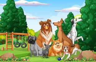 Park nature scene with many different dogs vector