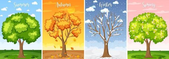 Set of four seasons backgrounds vector