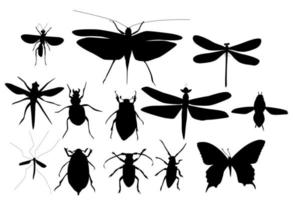 conjunto de siluetas de escarabajos, libélulas y mariposas vector