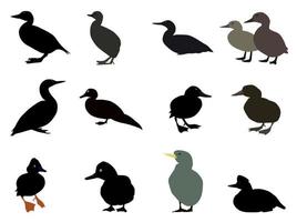 Set of Silhouettes of different types of existing ducks. Vector Illustration.
