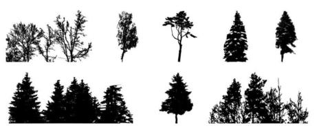 Set of Tree Silhouette Isolated on White Backgorund. Vecrtor Illustration. vector