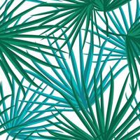 Palm Leaf Vector Seamless Pattern Background Illustration