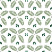 Palm Leaf Seamless Pattern Background. Vector Illustration.