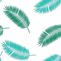 Palm Leaf Seamless Pattern Background. Vector Illustration.