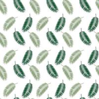 Palm Leaf Seamless Pattern Background. Vector Illustration.