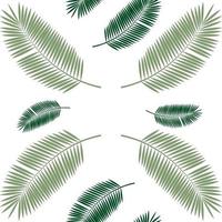 Palm Leaf Seamless Pattern Background. Vector Illustration.