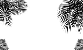 Palm Leaf Vector Background Illustration