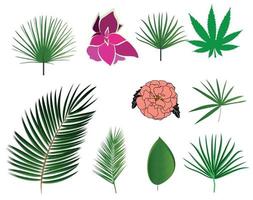 hojas verdes frescas naturales y flores. conjunto aislado sobre fondo blanco. ilustración vectorial. vector