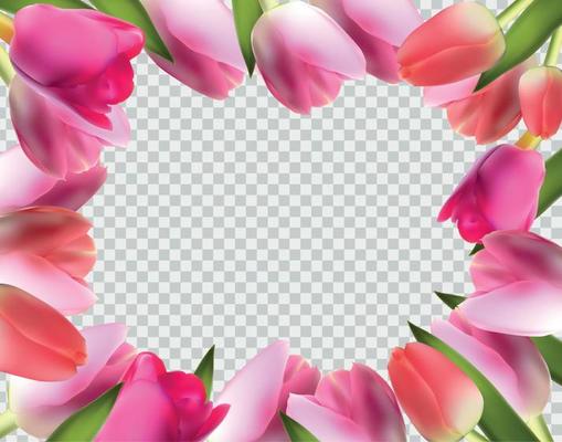 Beautiful Pink Realistic Tulip Frame Vector Illustration