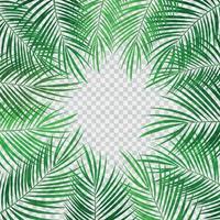 Palm Leaf Vector Background Illustration