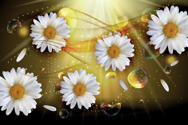 Abstract Chamomile Flowers Natural Spring and Summer Background 3D Realistic Vector Iillustration