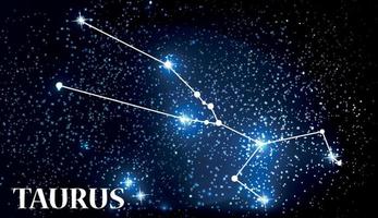 Symbol Taurus Zodiac Sign. Vector Illustration.