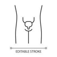 Healthy urinary bladder linear icon. Human organ in good health. Functioning urinary system. Thin line illustration. Contour symbol. Vector isolated outline drawing. Editable stroke