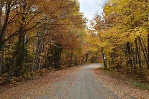 A country road in autumn photo