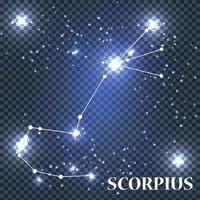 Symbol Scorpius Zodiac Sign. Vector Illustration.