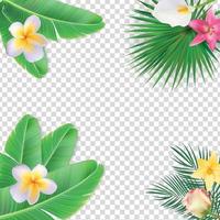 Summer Natural Floral Frame on Transparent Background Vector Illustration