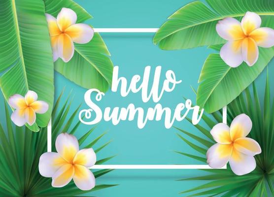 Hello Summer Natural Floral Background with Frame Vector Illustration