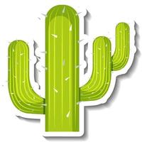 Planta de cactus saguaro sobre fondo blanco. vector