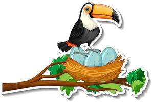 Toucan bird with many eggs on a tree branch vector