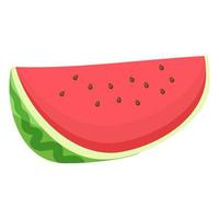 a slice of fruit watermelon vector