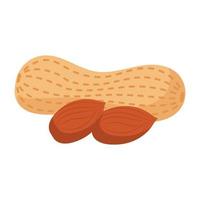 peanut cartoon vector object