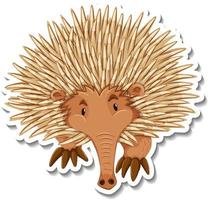 Echidna cartoon character on white background vector