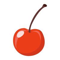 fruit cherry cartoon vector