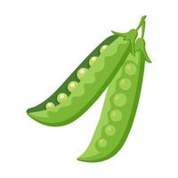 Food vegetable snow peas vector