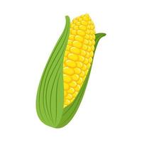 vegetable food corn