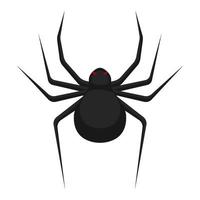 objeto de vector de dibujos animados de araña de insectos