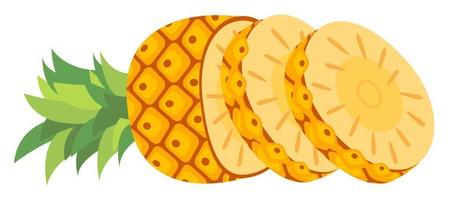 horizontal sliced fruit pineapple vector