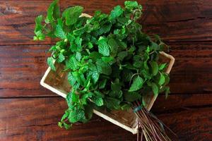 Group of green organic fresh mint in basket over rustic wooden desk. Aromatic peppermint with medicinal and culinary uses photo