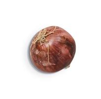 Close up view red onion isolated on white background. added copy space for text. photo