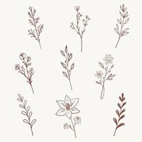 Minimalist wildflowers, herbs, leaves and branches. Vector illustration.