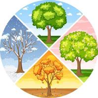 Set of four seasons backgrounds vector