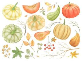 AUTUMN SET WITH VEGETABLES AND FRUITS vector