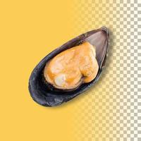 mejillones frescos aislados sobre fondo transparente foto