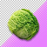 Fresh Cabbage isolated on transparent background. PSD photo