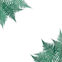 Fern Leaf Vector Background Illustration