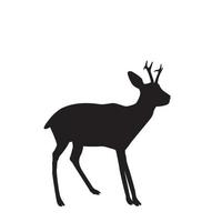 The silhouette of a young forest deer with small growing horns. vector illustration