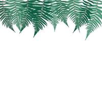 Fern Leaf Vector Background Illustration