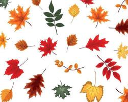 Abstract Vector Illustration Background with Falling Autumn Leaves.