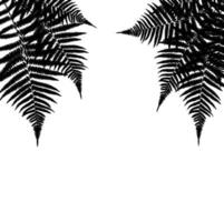 Fern Leaf Vector Background Illustration