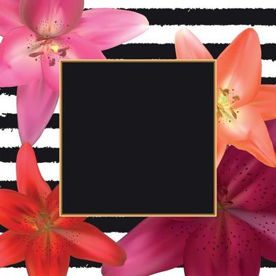 Abstract Frame with Lily Flower. Natural Background. Vector Illustration