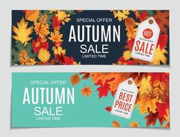 Abstract Vector Illustration Autumn Sale Background with Falling Autumn Leaves