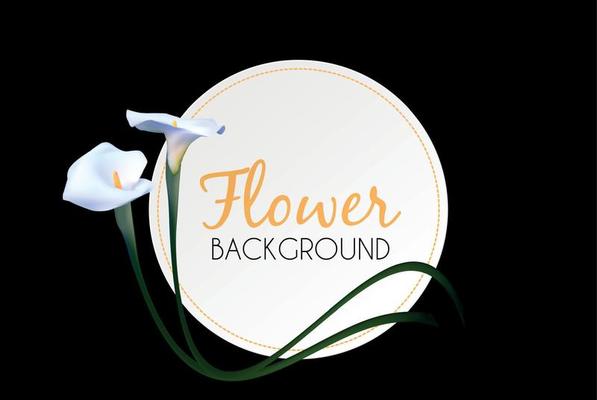 Abstract Floral Background with Calla Flower. Vector Illustration